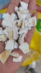 纯ppr管材粉碎料,长期出售