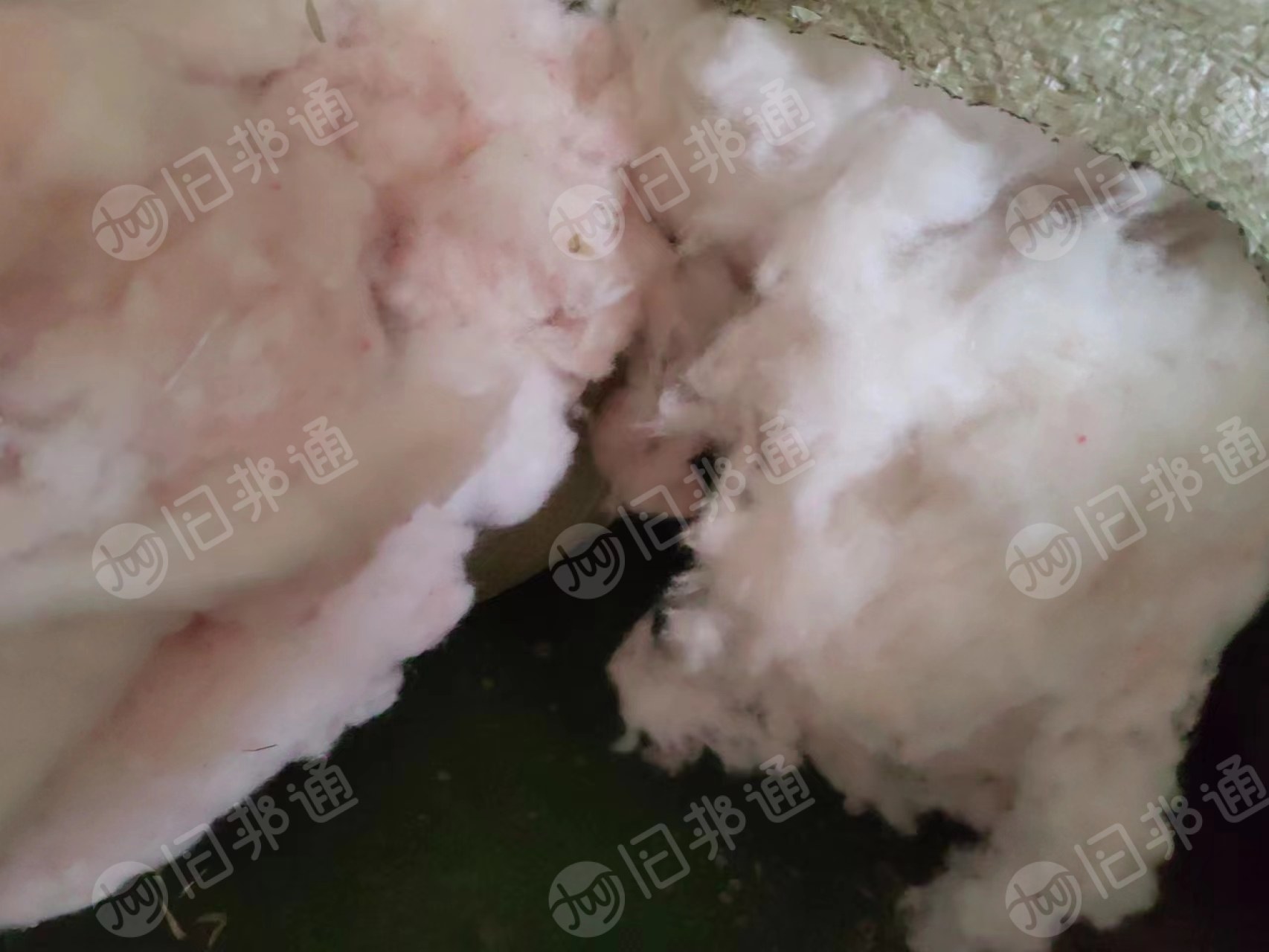 涤晴车肚长期出售,月供20多吨