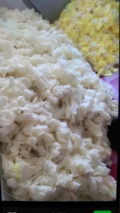 大量收购毛绒玩具下脚料碎布边角料