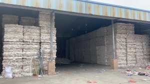 白色果袋纸出售，包柑橘的，无水无杂