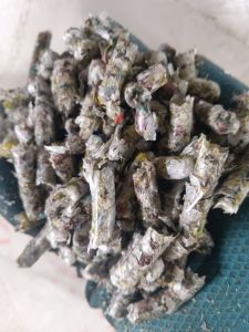 出售PP打包带毛毛虫