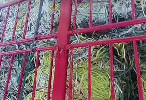 长期出售PP打包带毛料