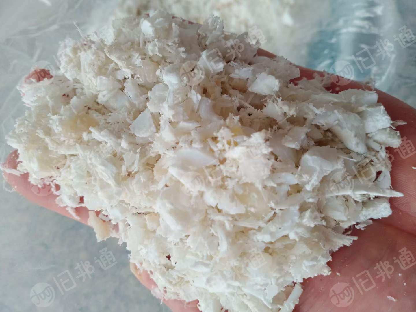 出售全漂白色pp粉碎料