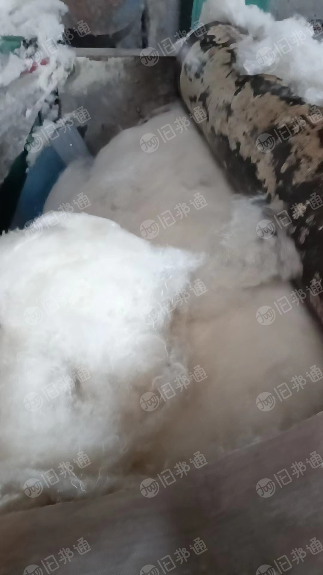 纯棉包布开松棉,无三丝 无亮光,长期大量出售