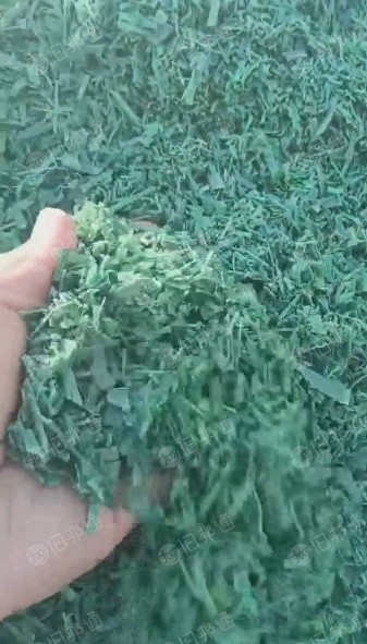 水洗国产打包带破碎料,一挂,大量出售