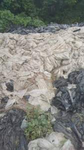 PE地膜废料,现货30吨，长期大量出售