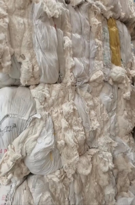 纯棉车肚长期大量供应