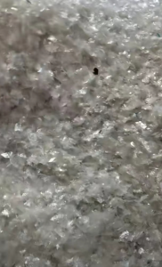 出售PET胶水膜废料