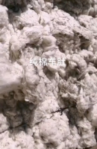 纯棉车肚长期大量供应
