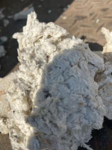 出售纯木桨尾浆,含水65%