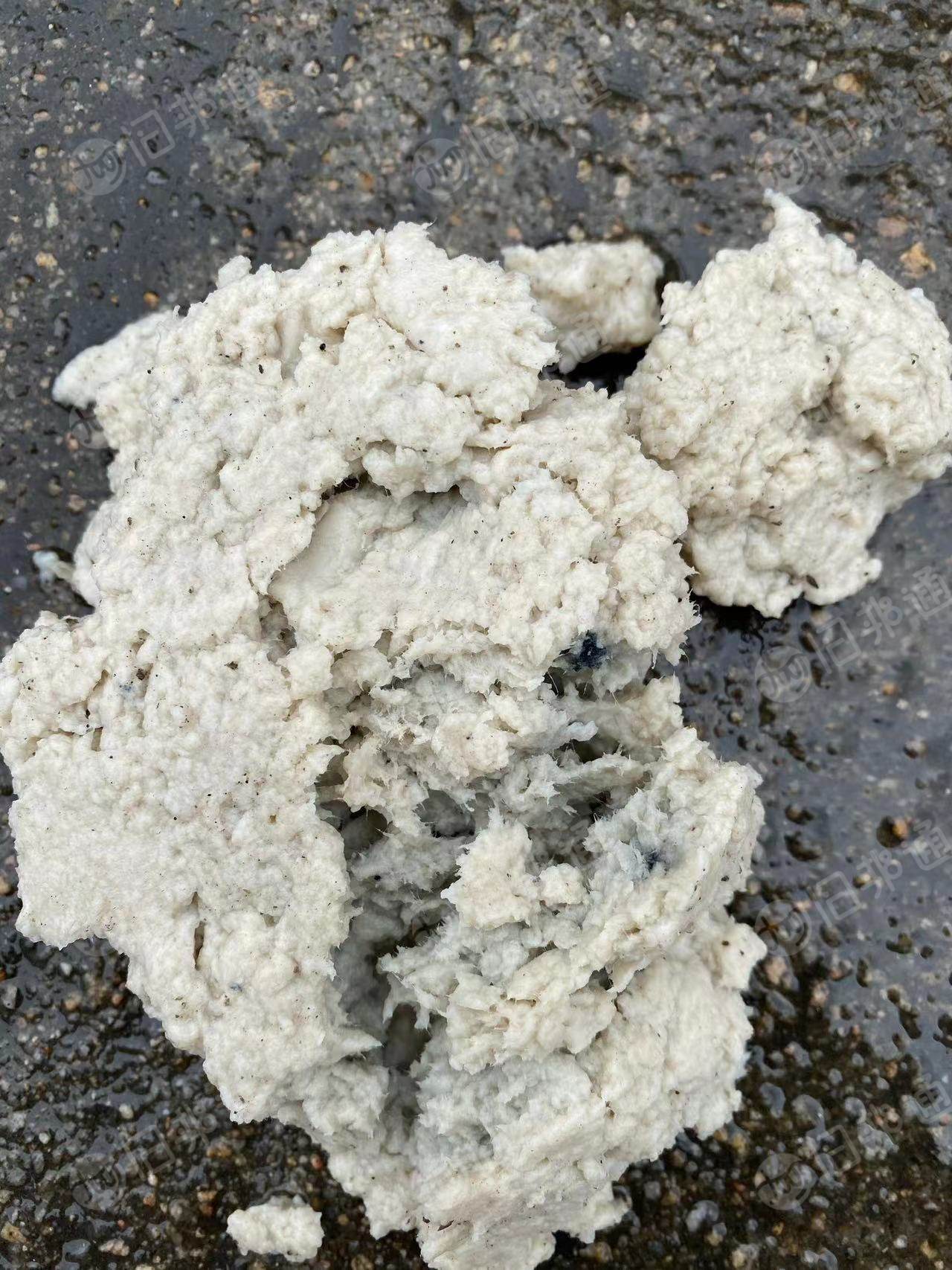 出售纯木桨尾浆,含水65%