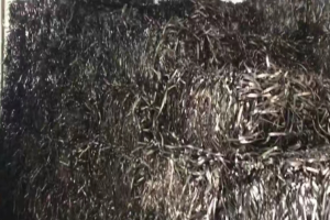 出售合金载带废料