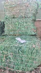 聚酯打包带，现货40吨，长期出售