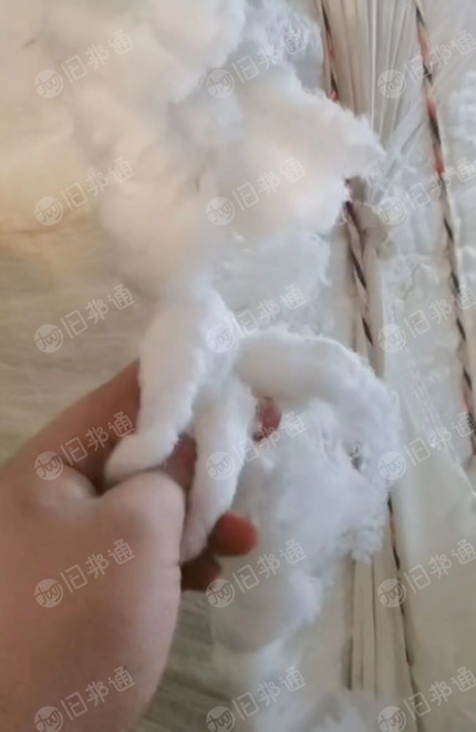 精品长丝小白棉长期供应