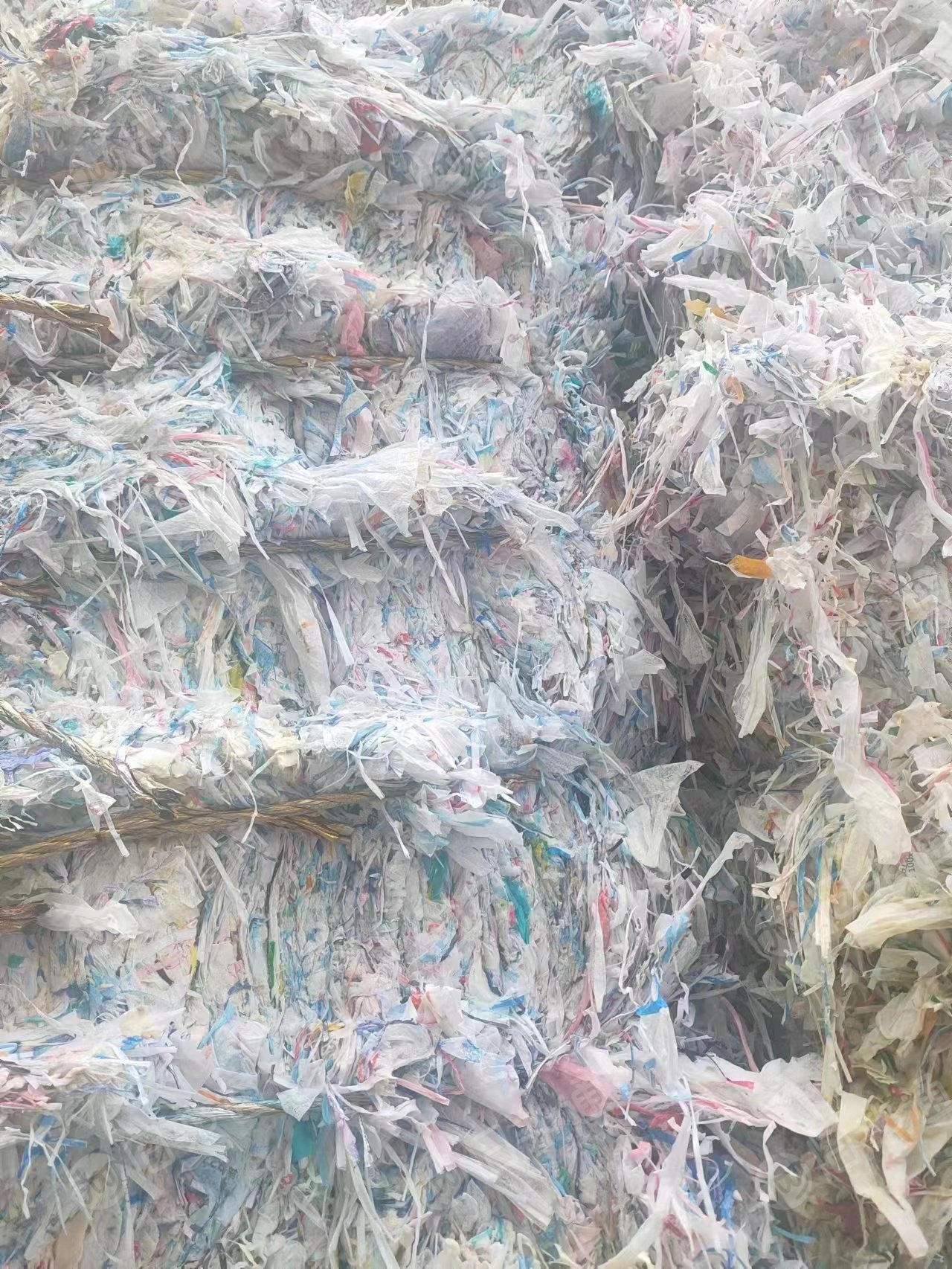 清洗干净的纸厂塑料常年大量出售