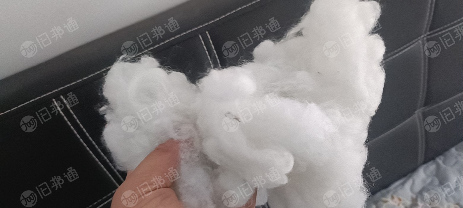 涤纶短纤,大量回收