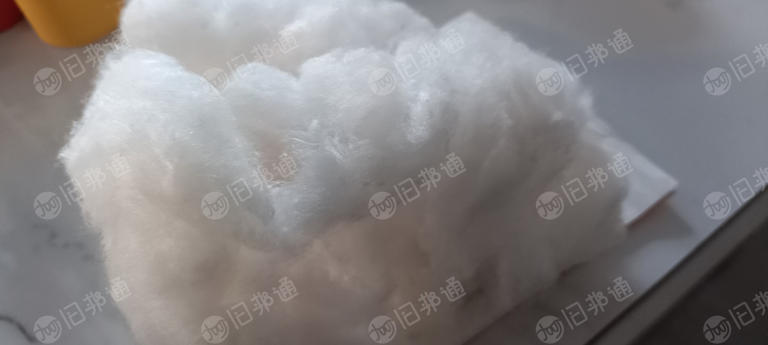 涤纶短纤,大量回收