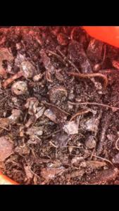 火烧铁粉长期出售