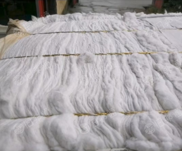 大白棉长供应，可用于做棉被填充和纺纱