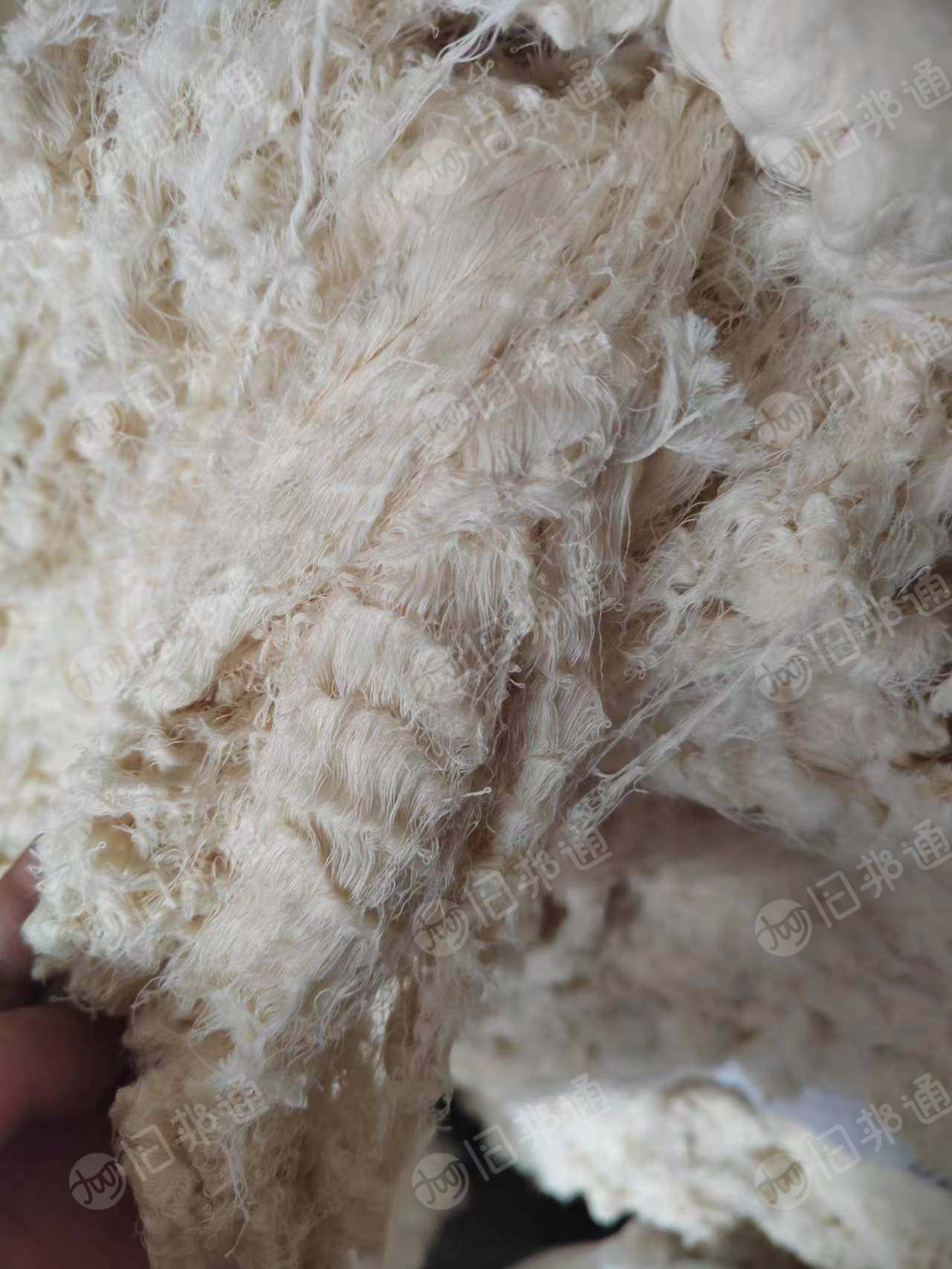 环锭纺纯棉回丝,长期出售