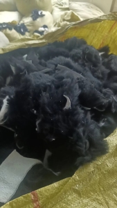 貂绒下脚料，真皮水貂，现货出售