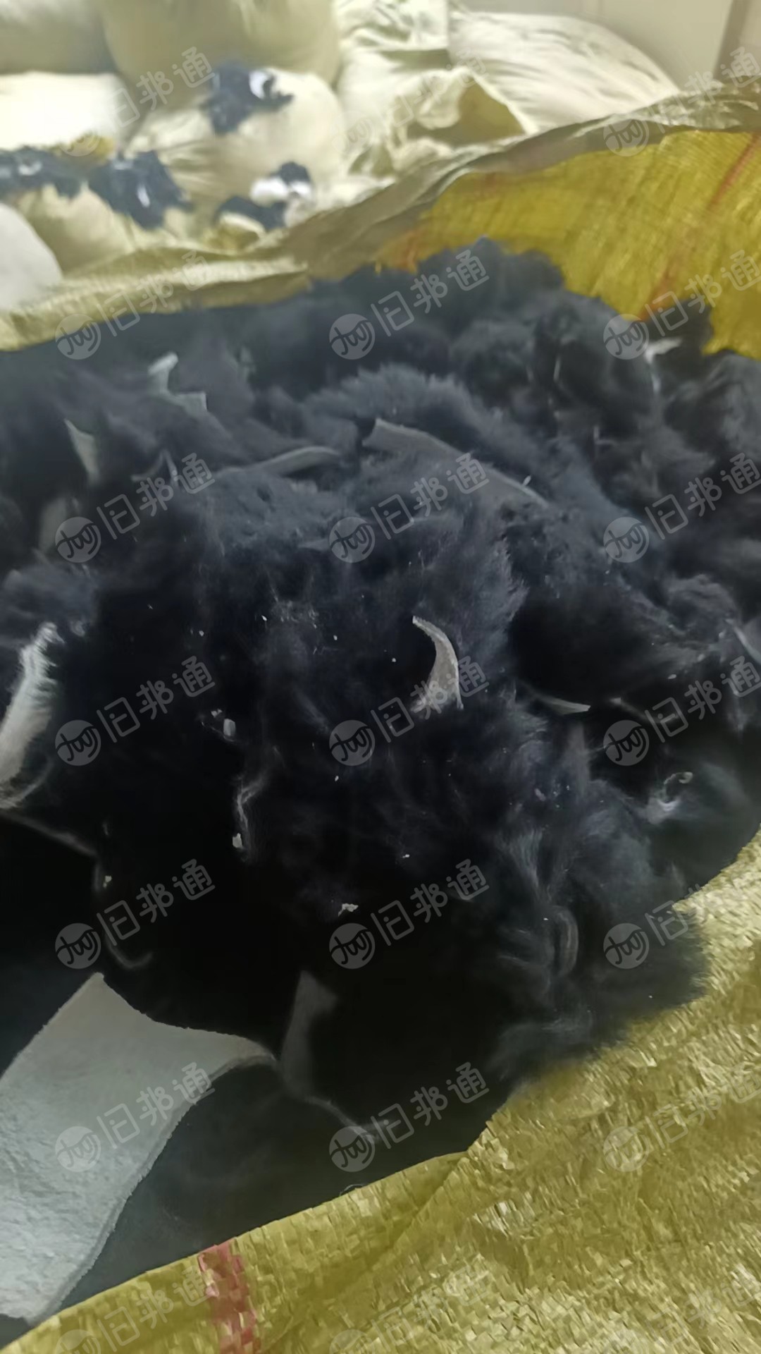 貂绒下脚料,真皮水貂,现货出售