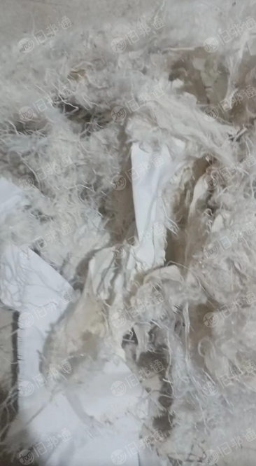 白涤纶箱包废布,涤纶下脚料,无纺布边料