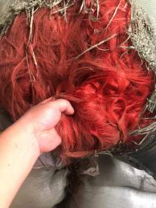 pet复pbt废丝30吨出售