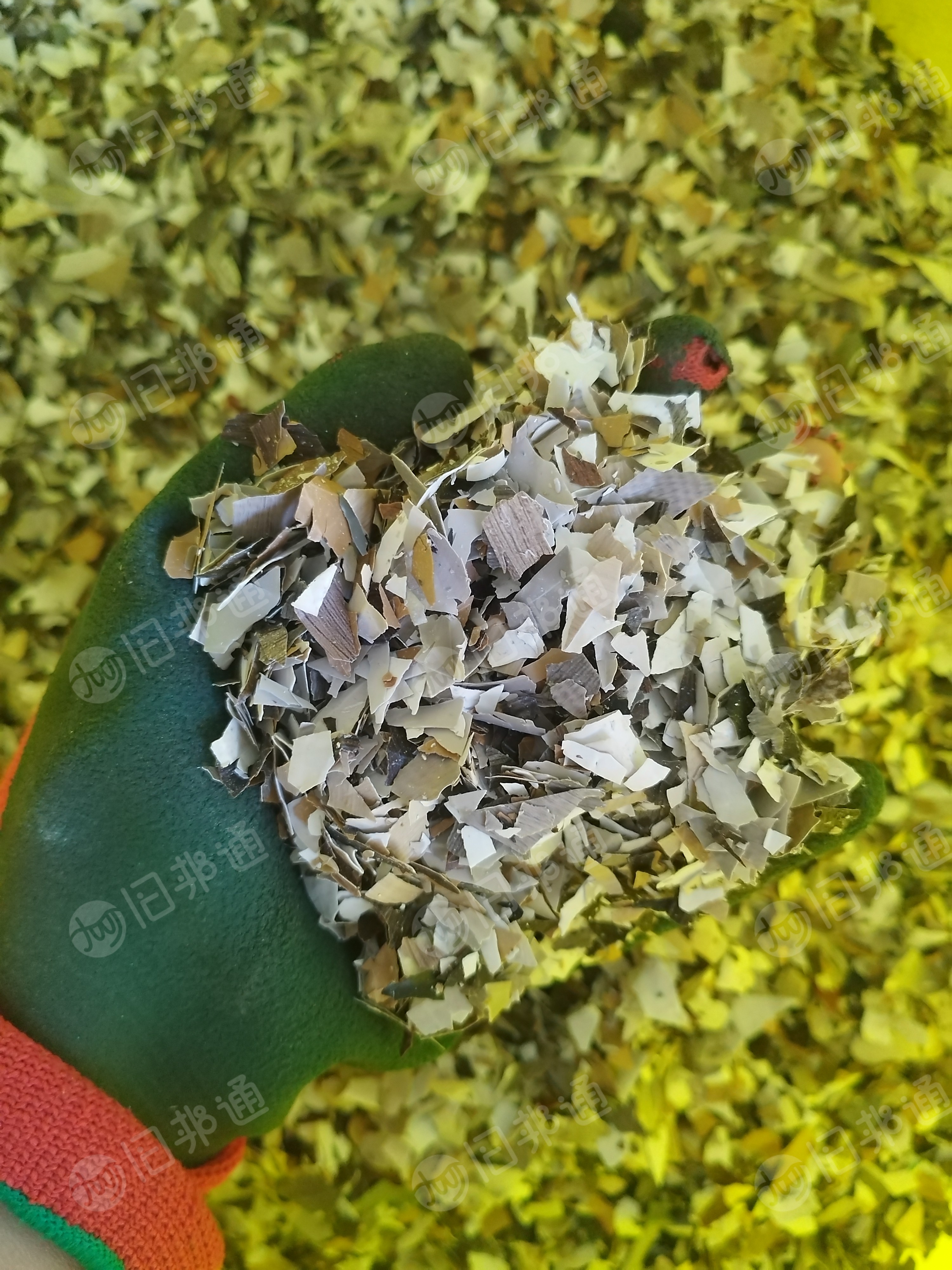 中性pvc壁纸破碎料，杂色白色都有，长期供应