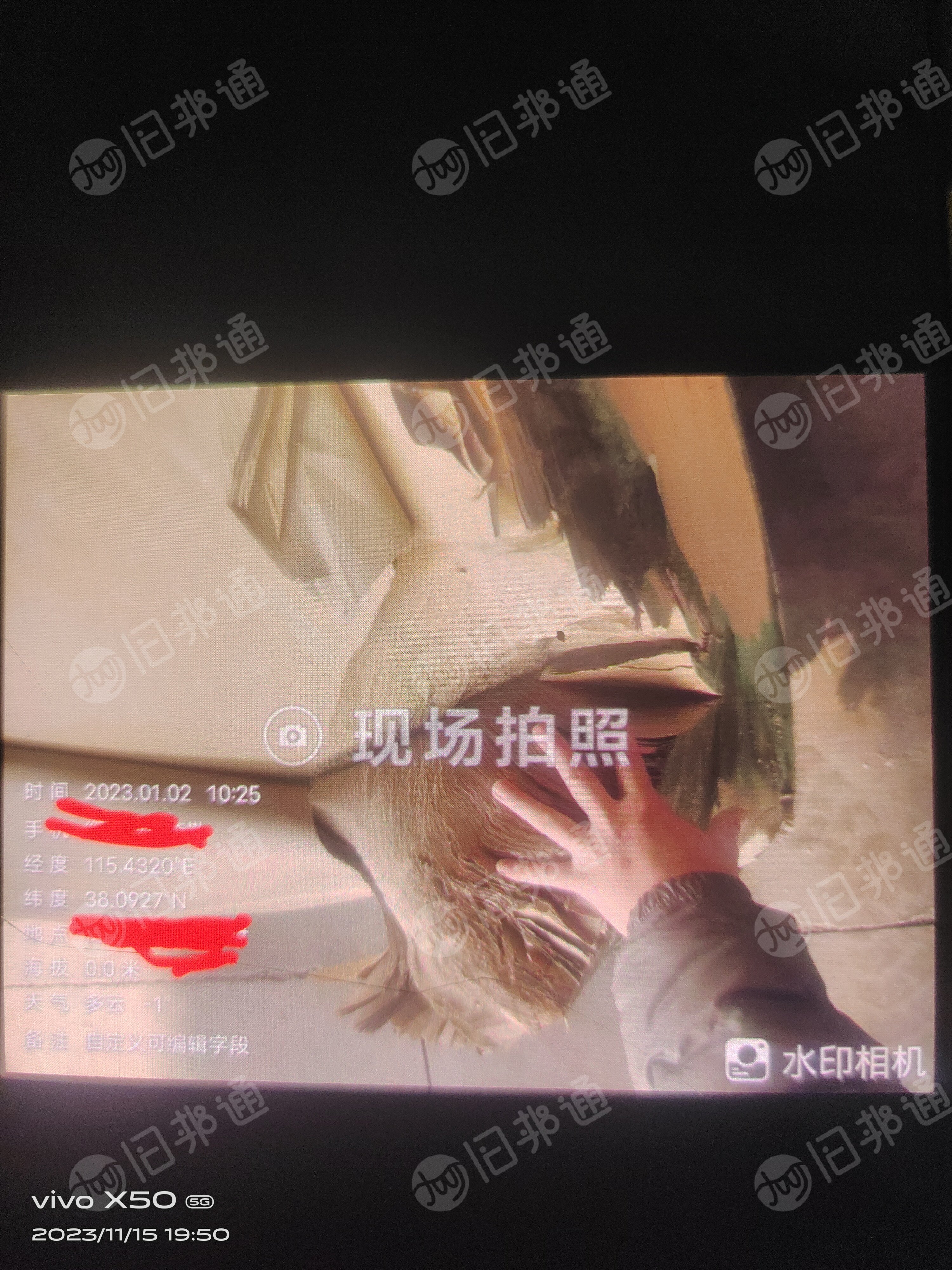 宣纸出售,边缘受损