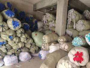 浅三色涤棉开花料供应长期供应