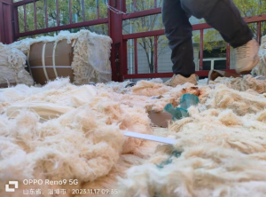 环锭纺下来的纯棉回丝10吨出售