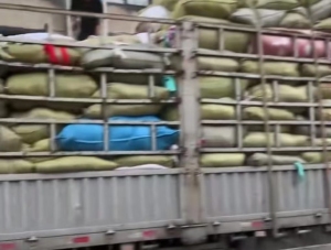 涤纶三色布，废布，大量出售