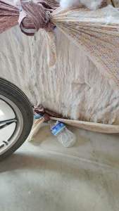 开好的次白丝绵一车低价出售