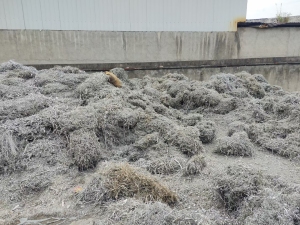 6061铝销散货长期出售