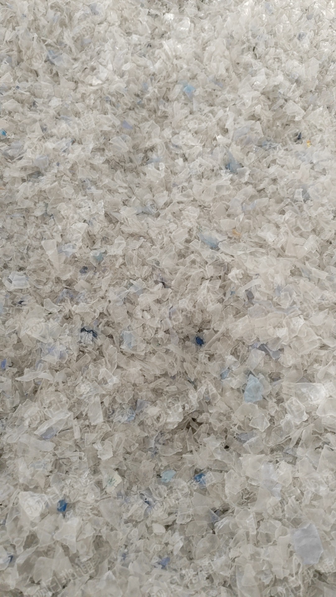 PET蓝白瓶片出售,冷洗的,月供几十吨