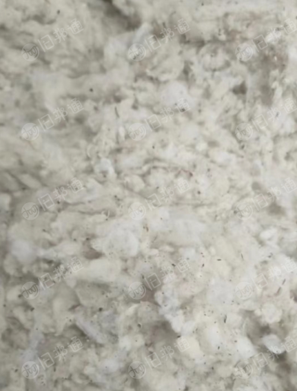 涤棉车肚长期出售,现货20多吨!