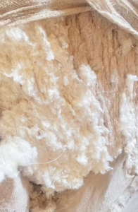 进口短绒20吨，扫地花开丝绵10吨便宜出售