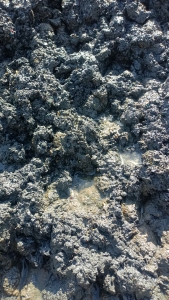 电容破碎后的塑料渣，现货200吨出售，可炼油用