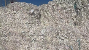 清洗好的纸厂废料，已打包，大量出售