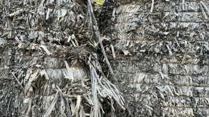 PE滴灌带大量出售，月供200吨 