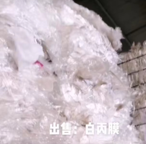 常年出售白丙膜废料,PP膜废料