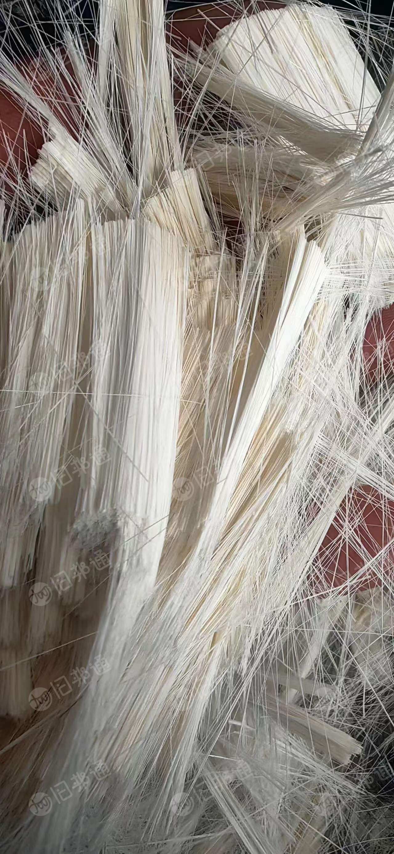 PBT纯树脂丝,长期出售