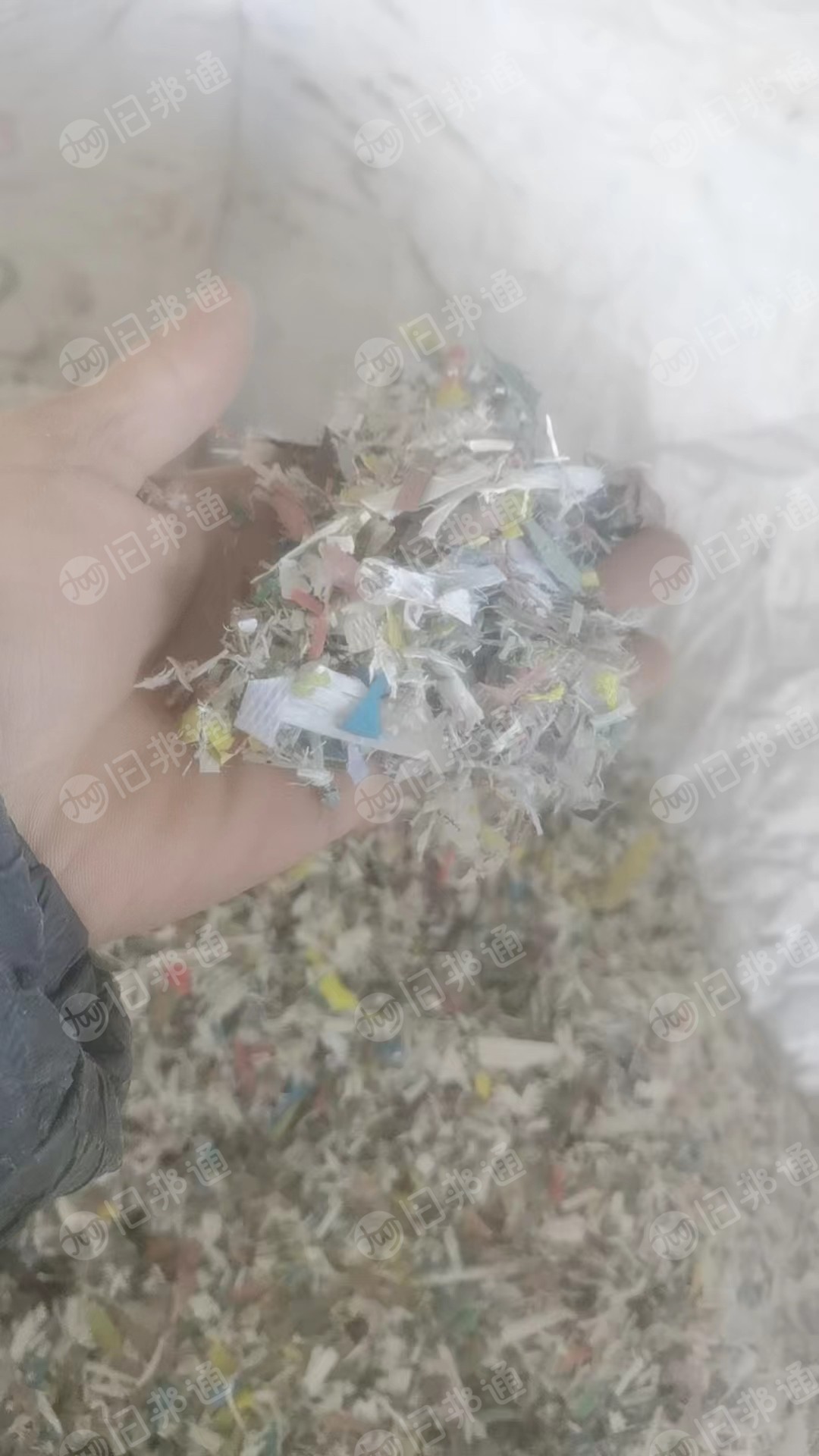 沉底PP打包带粉碎料出售,月供几十吨