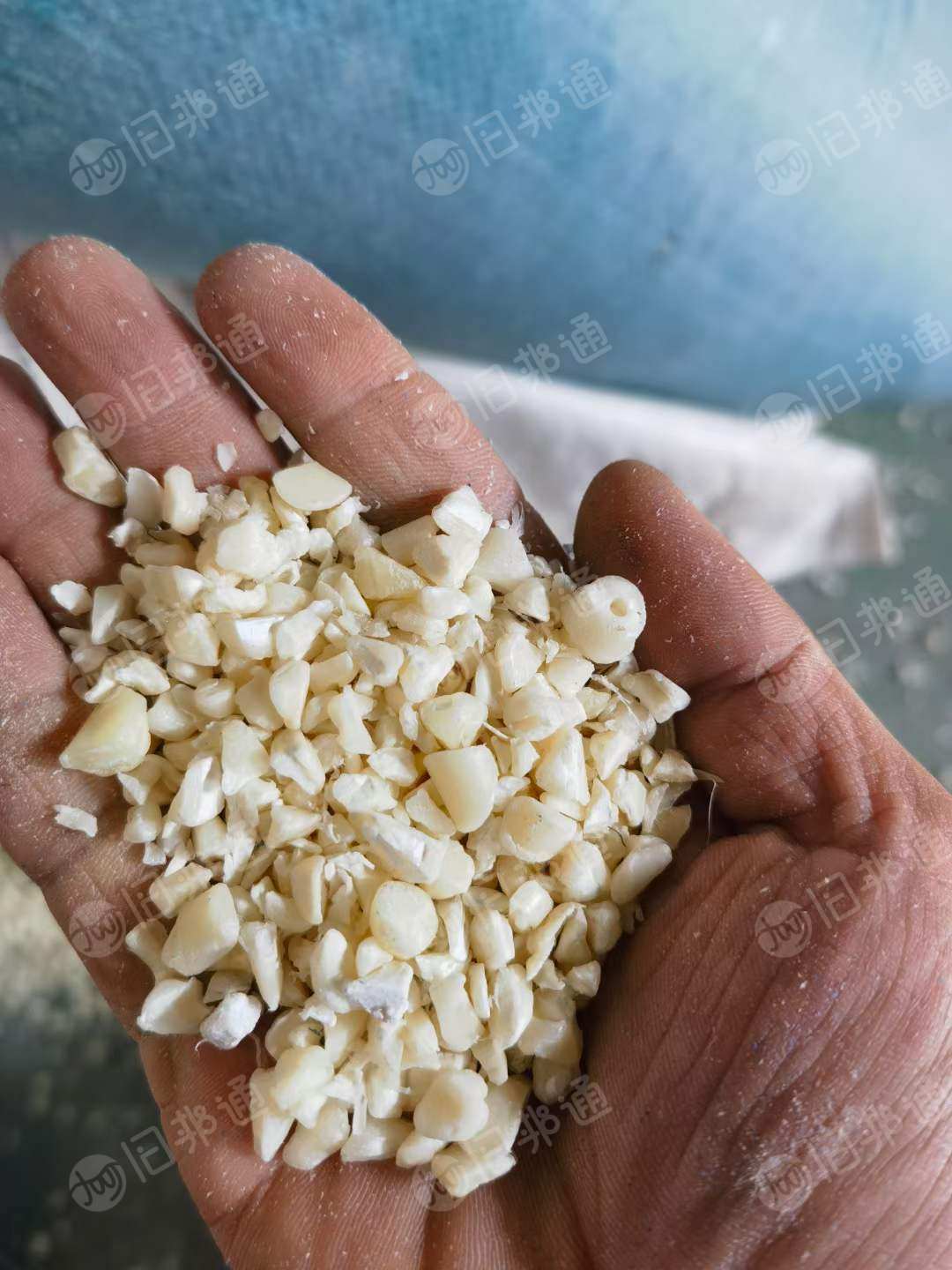 出售ABS上机破碎料