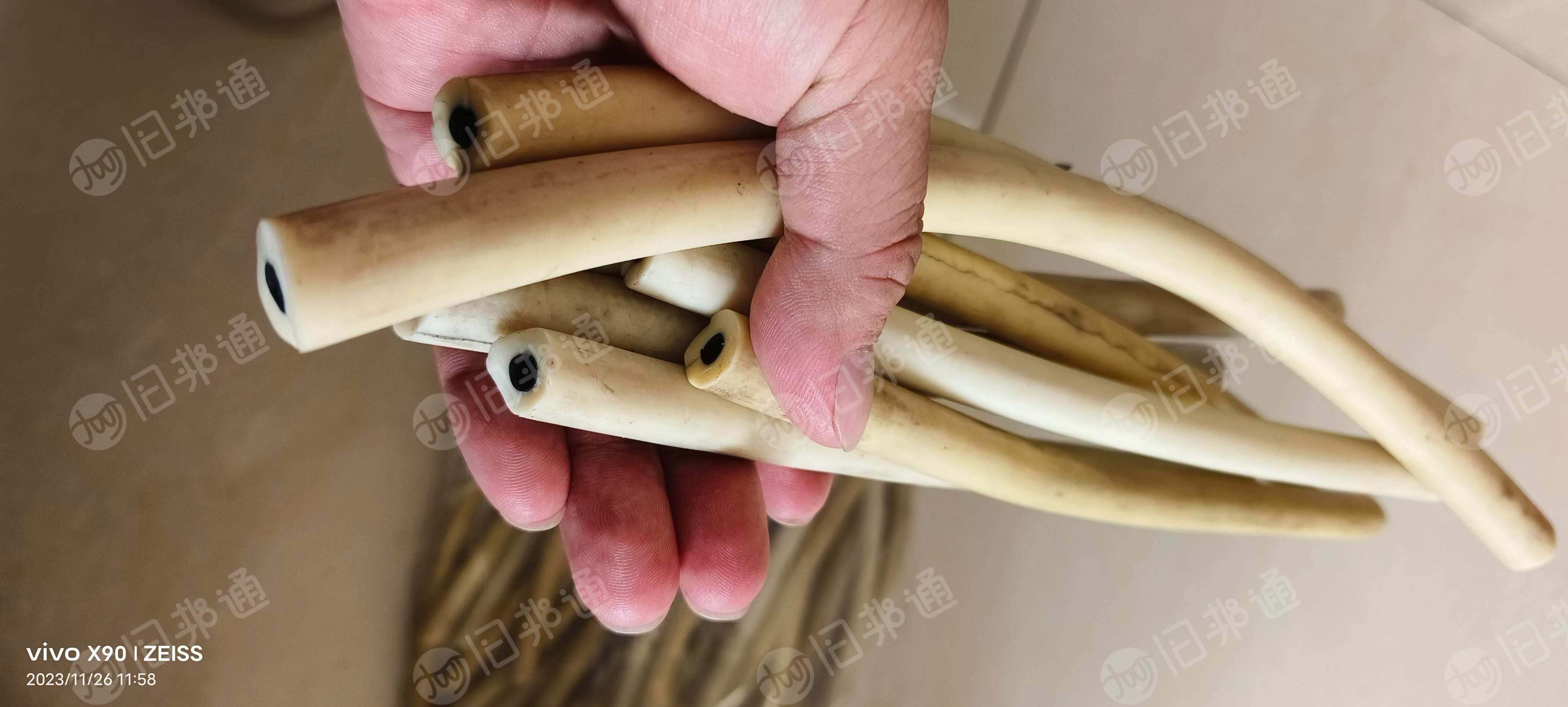 聚丙胶,需要10吨,现货回收