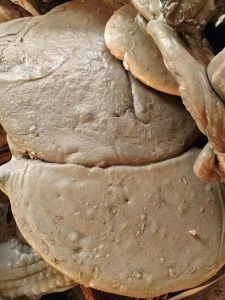 聚丙机头料，长期现金回收