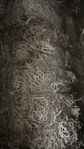 无膜竹浆废纸出售