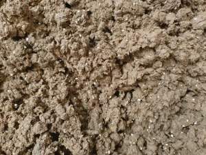 出售纸厂下来的尾浆