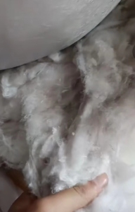 绗棉开花棉，绗棉再生棉，大量出售